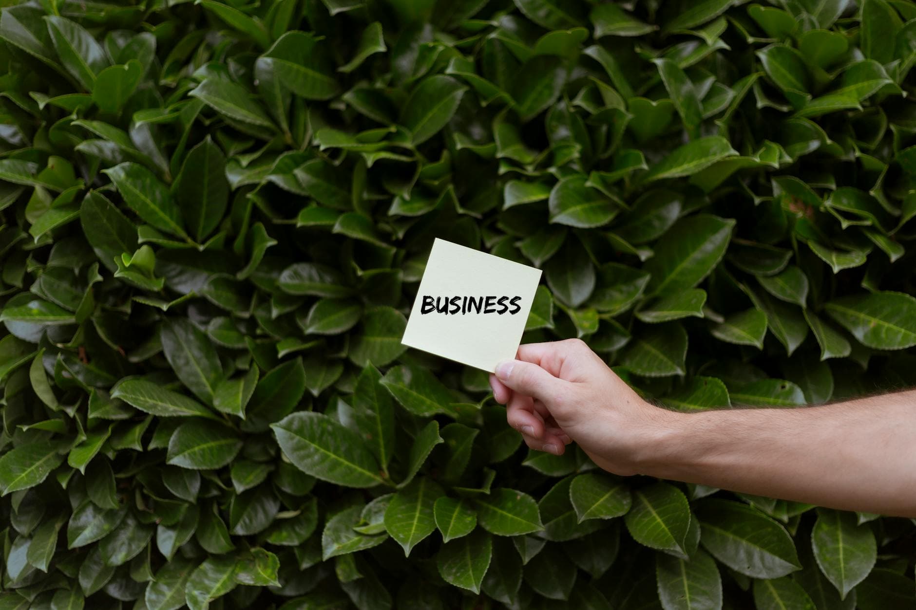 ISO 14001 certification